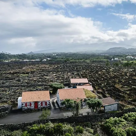 Adega Dos Virgilios *