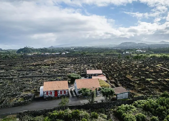 Adega Dos Virgilios *